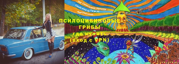 стаф Алексеевка