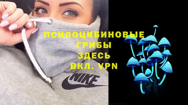 дживик Алексин