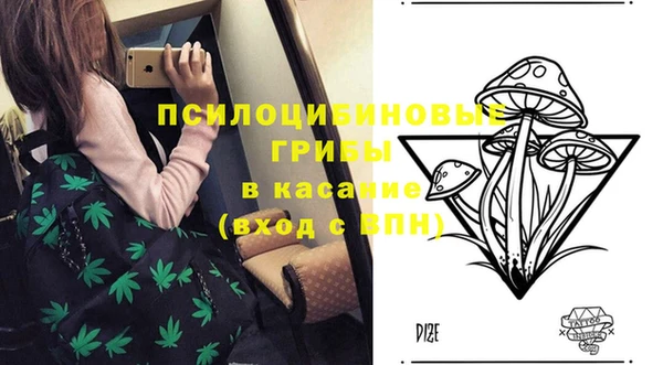 дживик Алексин