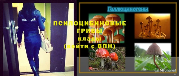 дживик Алексин