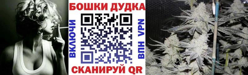 Бошки Шишки семена  Цимлянск 